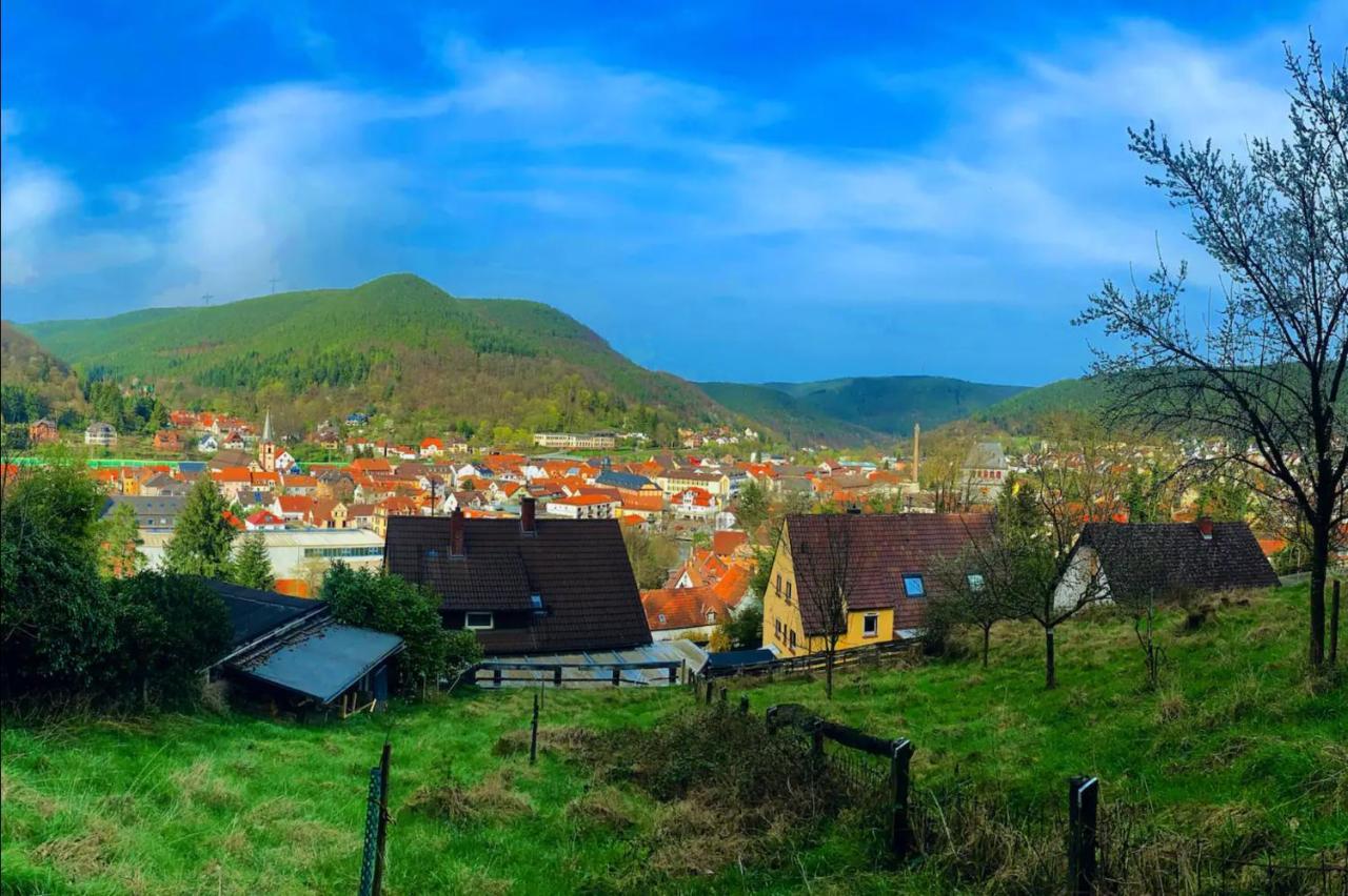 Lieblingsplatz Im Pfalzer Wald Apartamento Lambrecht  Exterior foto