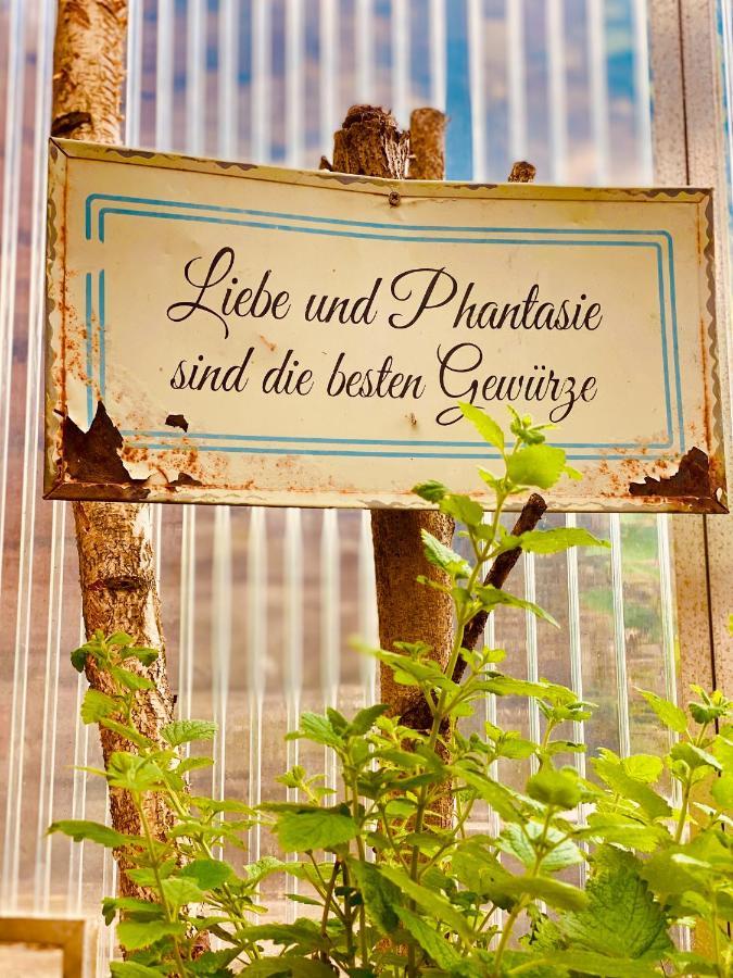 Lieblingsplatz Im Pfalzer Wald Apartamento Lambrecht  Exterior foto
